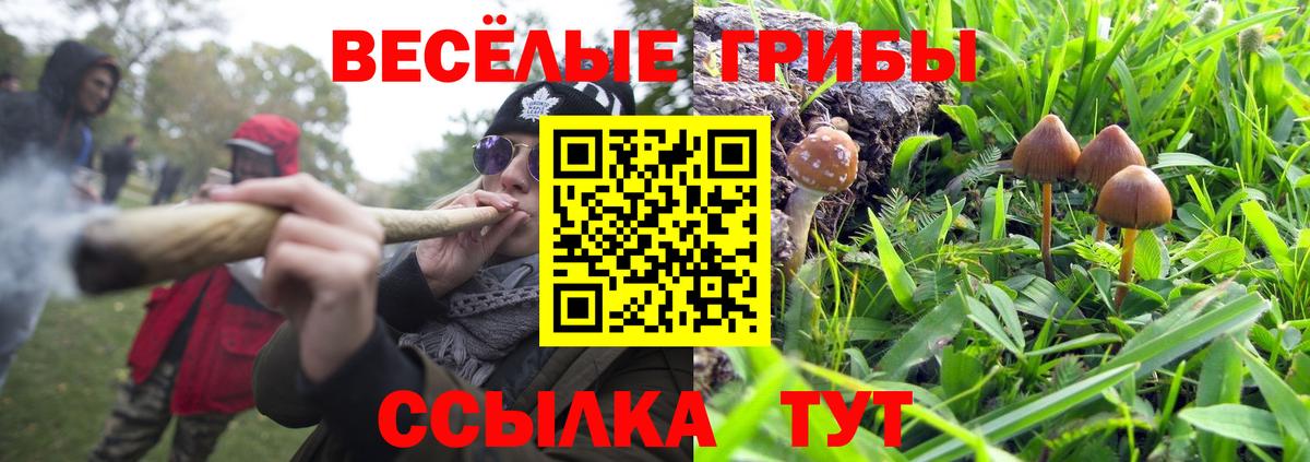 Псилоцибиновые грибы ЛСД Одинцово