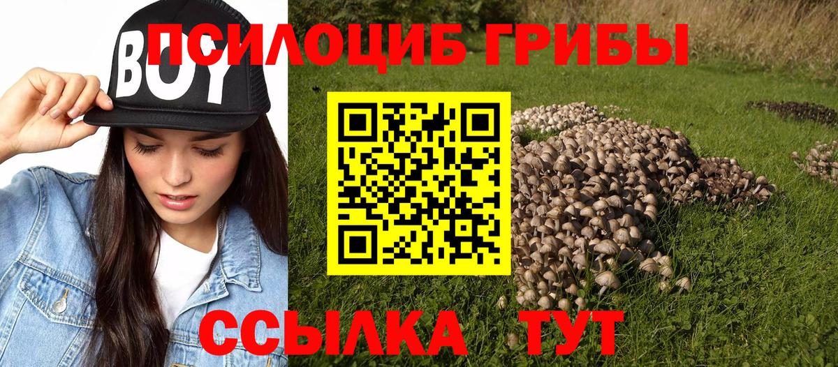 Одинцово  Галлюциногенные грибы Psilocybe  Вход с VPN  Галлюциногенные грибы прущие грибы 